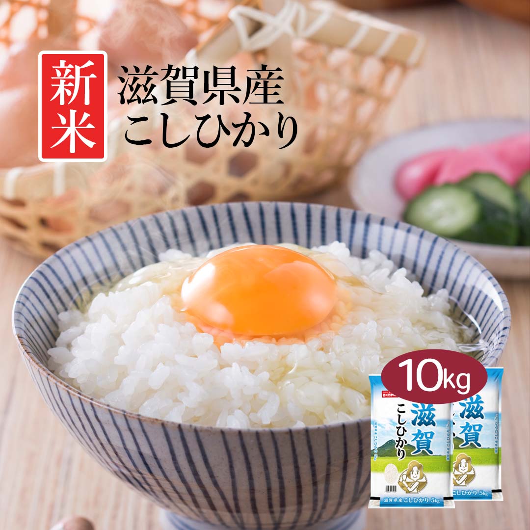 米 精米 滋賀県産 こしひかり 10kg (5kg×2) 令和5年産 新米 お米 白米 おくさま印 国産 食品 ギフト 引っ越し 挨拶 出産 内祝い 母の日 父の日 お中元 お歳暮 結婚 快気 還暦 香典返し お年賀 送料無料