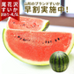 【7月下旬発送】 尾花沢 スイカ 訳あり 1玉 4L 5L（約9kg前後）山形県産 お徳用 ワケあり ワケ待ち 産地直送 キャンプに 海水浴に スイカ割りに ブランド 送料無料 同梱不可 日時指定不可 夏 暑さ対策 食べ物【エコ得】