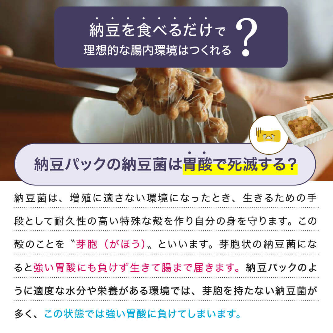 【送料込】こな納豆 / 匂い粘りひかえめ(18g×2個) 完全無添加 国産納豆パウダー 離乳食や食事にかけるだけで栄養アップ 納豆菌で手軽に腸活【ベビーキッズセール】