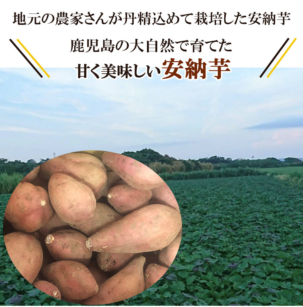 【最安値挑戦祭】安納芋 さつまいも 5kg 送料無料 産地直送 産直 土付き さつま芋 薩摩芋 焼きいも 焼き芋 石焼き芋 芋 いも イモ 鹿児島県産 ngs-006