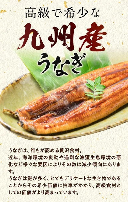 【送料無料】九州産 うなぎ 蒲焼 ウナギ 鰻 蒲焼 国内産 九州 土用の丑の日 お中元 ギフト タレ＆山椒　《7-14営業日以内に出荷予定(土日祝日除く)》