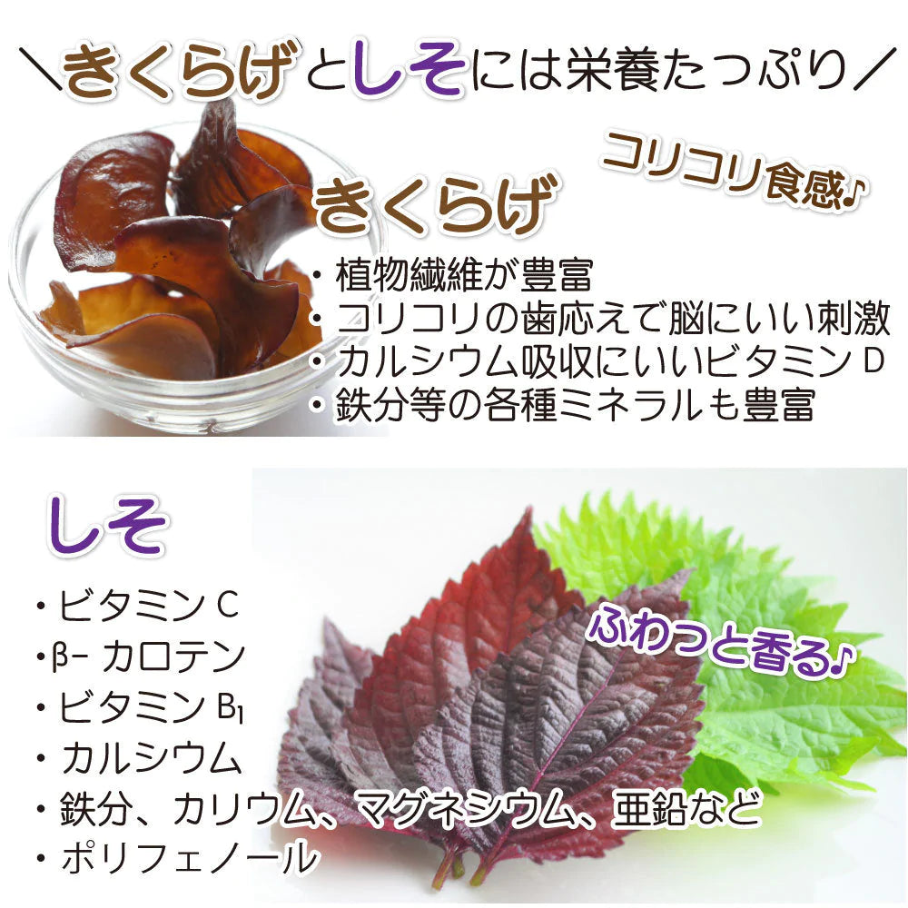 しそきくらげ 【しそきくらげ９０g×6袋 ３６０g】送料無料
