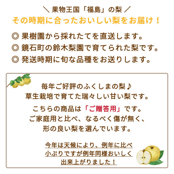 【3人シェア買いでお得】福島県産 梨 5kg  (8〜12個入) 贈答用 鏡石町 *