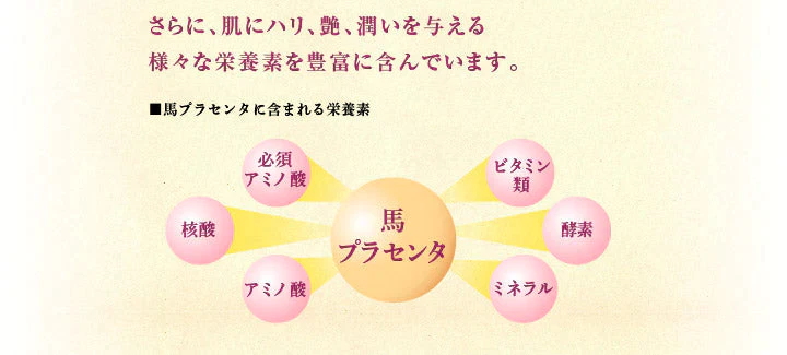 【熊本コレクション】馬油プラセンタ化粧品 コウネネイルケア〈初回限定〉トライアルサンプルセットをプレゼント★　保湿　潤い　乾燥　美容液　国産　プレゼント　アロマの香り