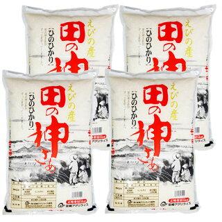 5kg×4袋【20kg】 令和３年 九州 宮崎県えびの産ひのひかり
