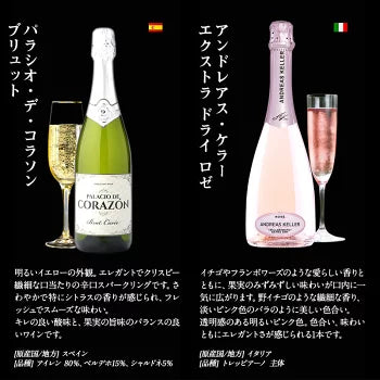 厳選 金賞入り 高品質 全部 辛口 スパークリング ワイン 12本 飲み比べ セット ［常温］ 【送料無料】 [W][S] 泡 イタリア スペイン シャンパン製法 瓶内二次発酵 カヴァ スプマンテ オーガニック 入り ギフト おすすめ 飲み比べ【エコ得】