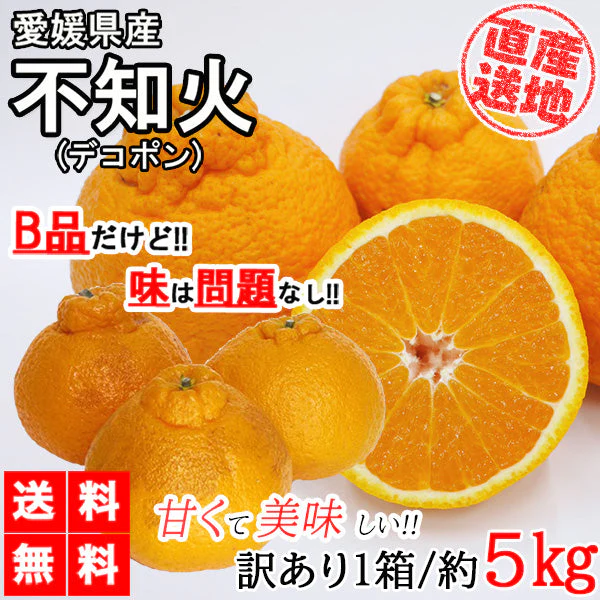 不知火 (デコポン) 訳あり 5kg 送料無料 ご家庭用 箱買い サイズミックス みかん 柑橘 フルーツ 果物 産地直送 愛媛県産  YDF-011