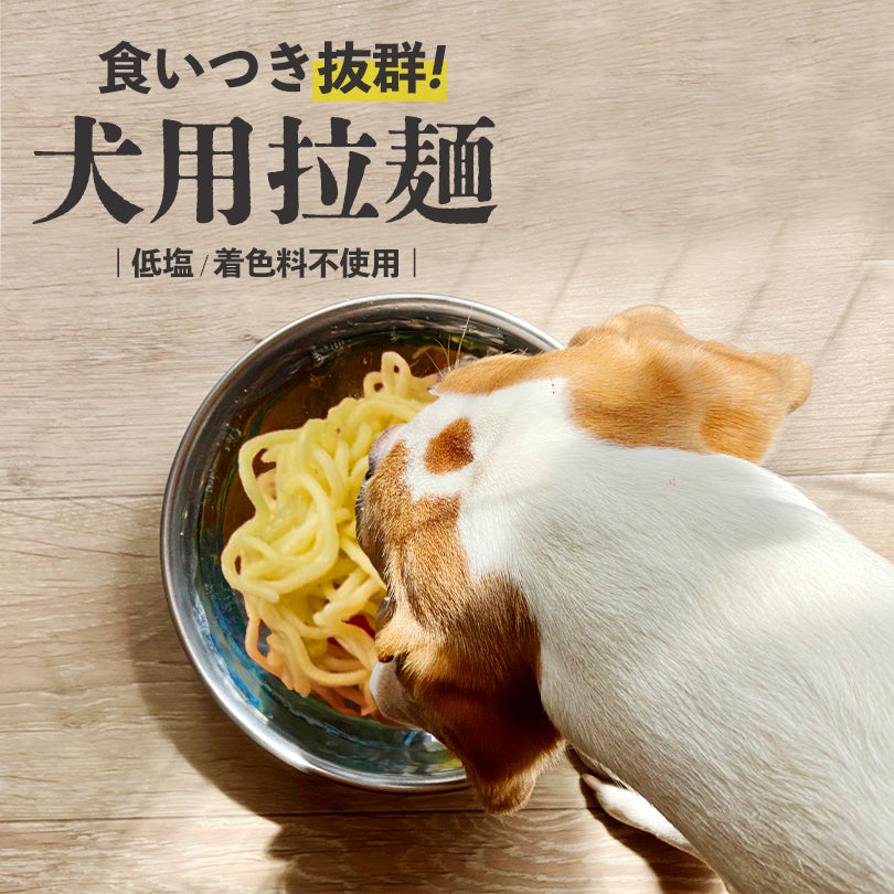 犬用 ワンちゃんラーメン 乾麺 3食入 2個セット 送料無料 低塩 着色料不使用 北海道 DOG NOODLE えぞ鹿 パウダー配合 ペットフード ドックフード らーめん 即席麺