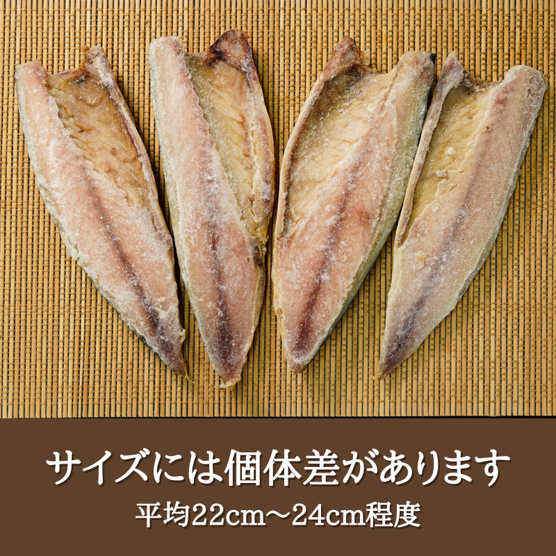 【訳あり】旨味たっぷり金華鯖の干物（10枚セット）　干物　傷あり 訳あり おうちごはん プチ贅沢 無添加 国産  宮城産 グルメ お買得 まとめ買い 海鮮 金華鯖 金華サバ