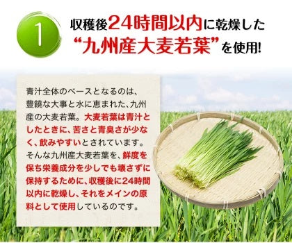 【超得ハイパーSALE】朝摘み もぎたて 青汁 大麦若葉 90g(3g×30包) 送料無料 美味しい 飲みやすい 青汁 乳酸菌 プラセンタ 食物繊維 ダイエット 甘い青汁《3-7営業日以内に出荷予定》