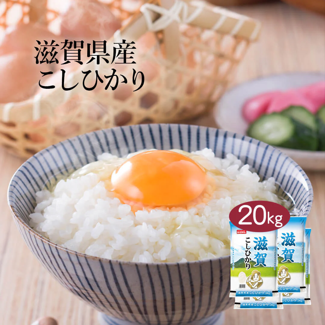 米 精米 滋賀県産 こしひかり 20kg (5kg×4) 令和5年産 新米 お米 白米 おくさま印 国産 食品 ギフト 引っ越し 挨拶 出産 内祝い 母の日 父の日 お中元 お歳暮 結婚 快気 還暦 香典返し お年賀 送料無料