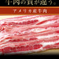 【ベストコレクション】新牛めしの具(プレミアム仕様)３０食セット
