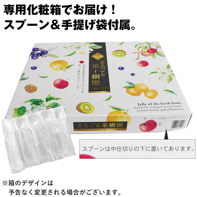 ゼリー 詰合せ まるごと果樹園 フルーツゼリー 詰め合わせ 5種食べ比べ 12個入り 愛媛県産 伊予柑  フルーツ  化粧箱