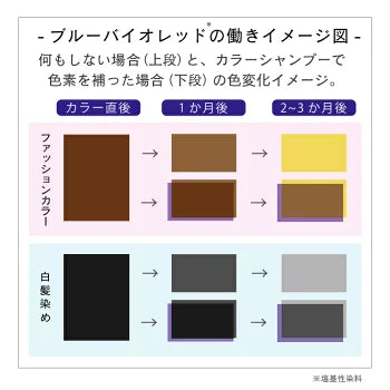 【タイムセール】【美容室専売品】プロ仕様ヘアカラーの色落ち防止シャンプー＆ヘアパック セット（各450ml）お徳容量/退色防止 アミノ酸シャンプー EARTHEAR 日本製