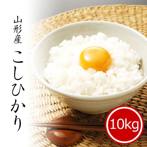 10kg (5kg×2袋) 令和3年産 コシヒカリ 山形県産 白米