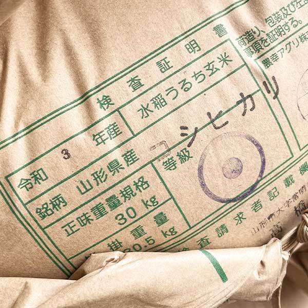 米 10kg 山形産コシヒカリ 令和3年産 お米 白米 10キロ（本州：送料無料）