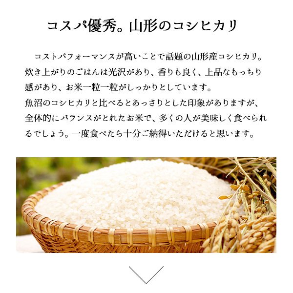 10kg (5kg×2袋) 令和3年産 コシヒカリ 山形県産 白米