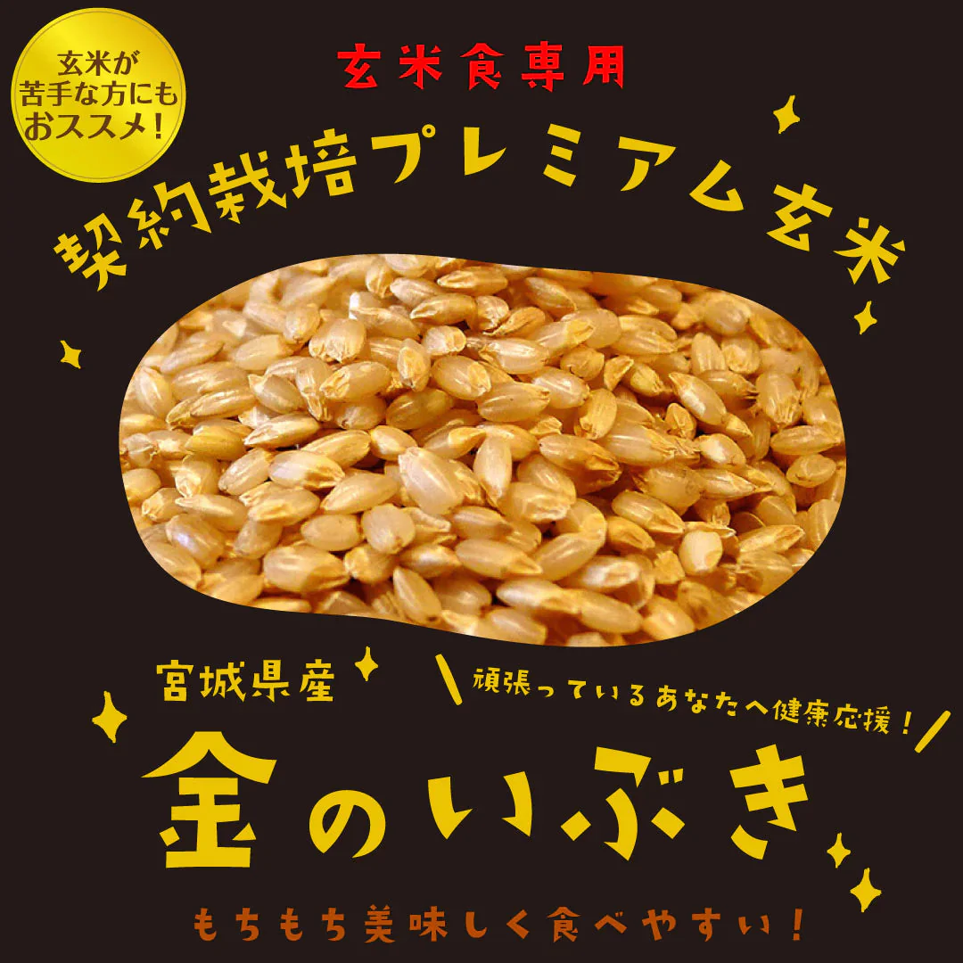 玄米ご飯パック 宮城県産 金のいぶきごはん 12個セット (120g×12) お米 おくさま印 食品 栄養 健康 レンジで簡単 温めるだけ レトルト ギフト 引っ越し 挨拶 出産 内祝い お中元 お歳暮 結婚 快気 還暦 送料無料