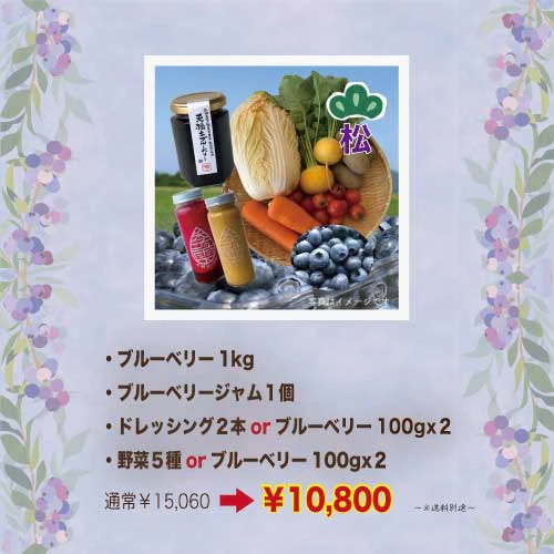 野菜の駅一周年お客様感謝祭　栽培期間中無農薬で育てた天橋立ブルーベリー【松】