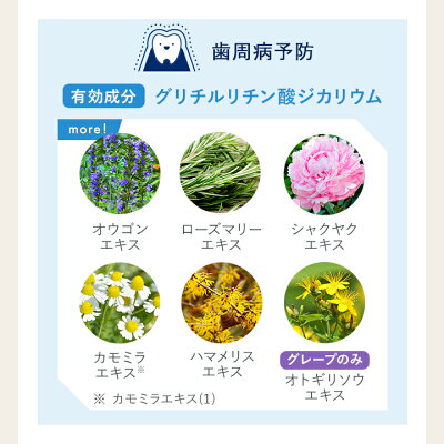 【4本セット】For fam(フォーファム)　トゥースジェル 薬用歯磨きジェル ホワイトニング 虫歯予防 口臭防止 グレープ グリーンアップルミント 子ども用 大人用
