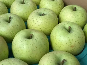 贈答用 青森県産りんご ふじ王林ミックス ギフト お歳暮かたく甘味があって酸味は少なめ 1箱約3㎏(約11個～変動あり）佐川急便発送【6110】