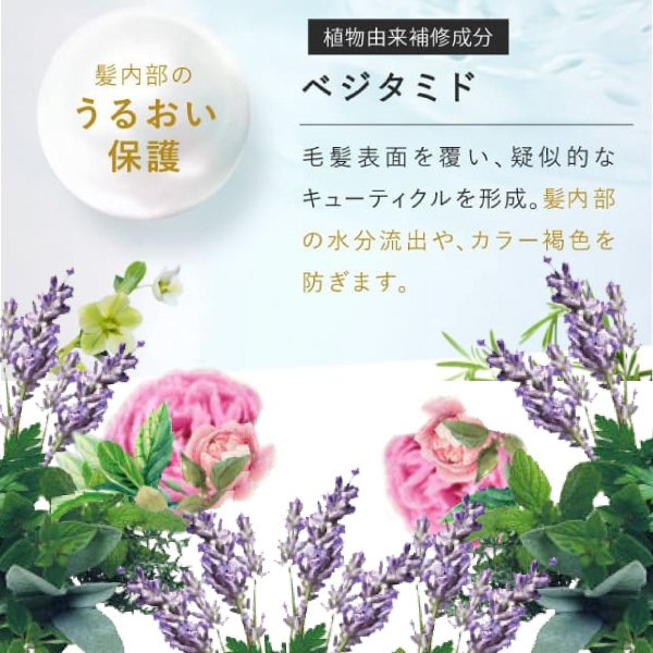 さくらの森【公式】 送料無料 ハーバニエンス コンディショナー  グリーンローズ ノンシリコン アミノ酸 頭皮ケア 美容室専売 無添加 アミノ酸 ボタニカル くせ毛 低刺激 美容室