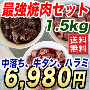 牛肉の焼肉セット 1.5kg たれ付き 1500g 牛ハラミ 牛タン 牛中落ちカルビの最強セット 社長自らが色々食べ比べてセレクト バーベキュー BBQ カルビ丼 牛肉 お肉 ペッパーランチ 冷凍