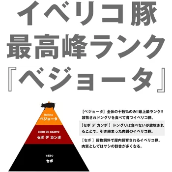 スペイン産 イベリコ豚 ベジョータ 肩ロース しゃぶしゃぶ用（1.5mmスライス）約1.2kg(300g×4P)　 ［冷凍］【3～4営業日以内に出荷】【フレッシュセール】