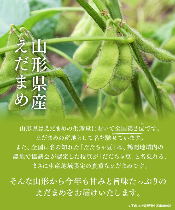 送料無料 枝豆 山形県庄内産だだちゃ豆約1kg※一部地域は別途送料追加