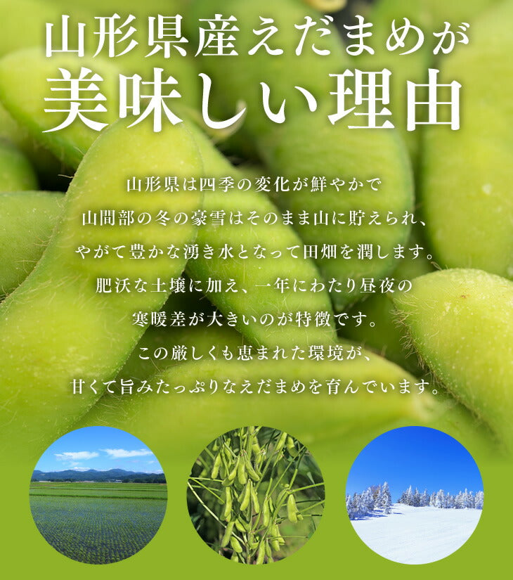 送料無料 枝豆 山形県庄内産だだちゃ豆約1kg※一部地域は別途送料追加