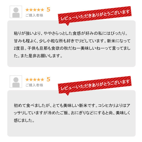 とれたて新米 8kg 新潟県産こしいぶき お米 令和４年産（本州：送料無料