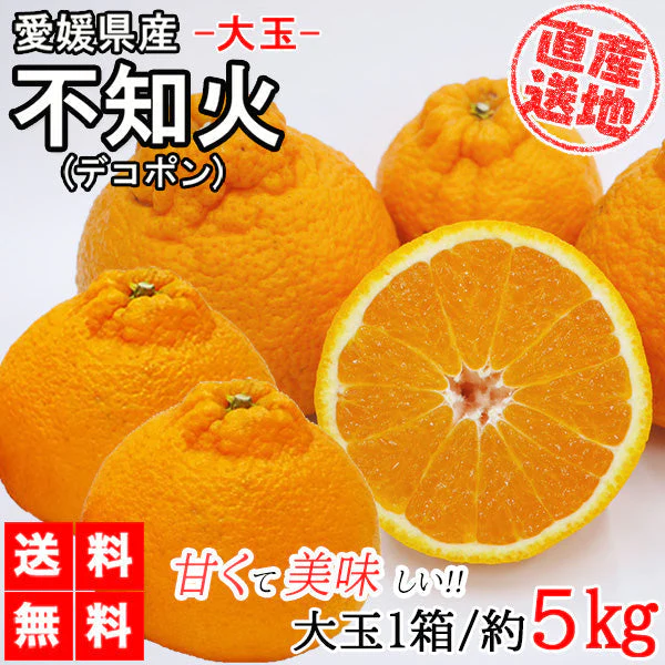 不知火 (デコポン) 5kg 大玉 送料無料 ご家庭用 箱買い みかん 柑橘 フルーツ 果物 産地直送 愛媛県産  YDF-009