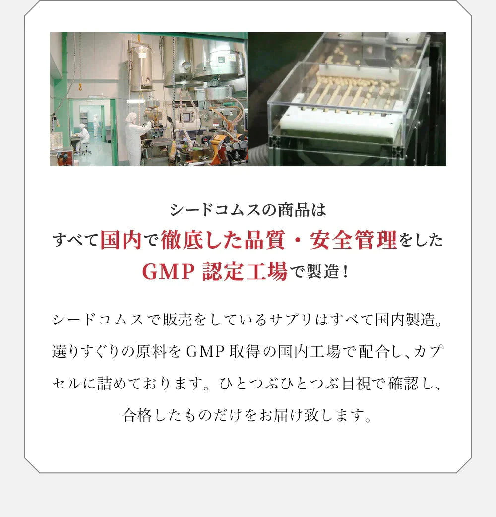 コンブチャ（KOMBUCHA）《1ヶ月分》 酵素 乳酸菌 美容成分 紅茶キノコ 酵母 ビタミンD 葉酸 ビタミンC ビタミンB  大豆ペプチド【ゲリラセール】