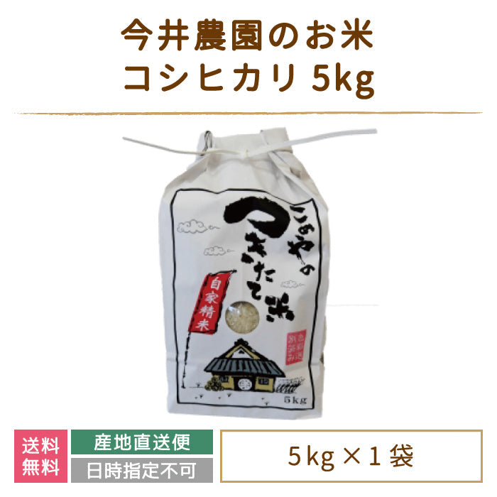 【3人シェア買いでお得】【令和4年産】【今井のつきたて米】 コシヒカリ5kg *
