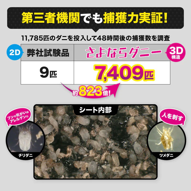 さよならダニーWEB限定5個セット