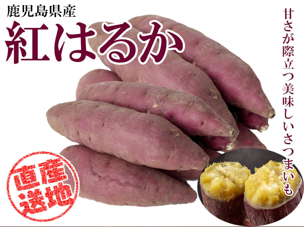紅はるか さつまいも 5kg 送料無料 産地直送 産直 土付き さつま芋 薩摩芋 焼きいも 焼き芋 石焼き芋 芋 いも イモ 鹿児島県産 ngs-003