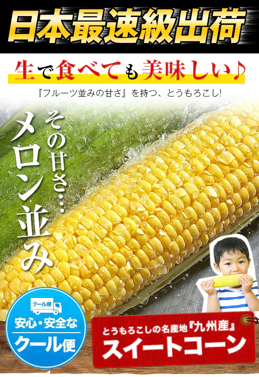 スイートコーン とうもろこし ゴールドラッシュ サニーショコラ 味来 恵味 約1.8kg～約2.4kg 7本入り (3L~L サイズ) 朝採り お取り寄せ お取り寄せグルメ日本最速級《7月中旬〜8月上旬頃より発送予定》