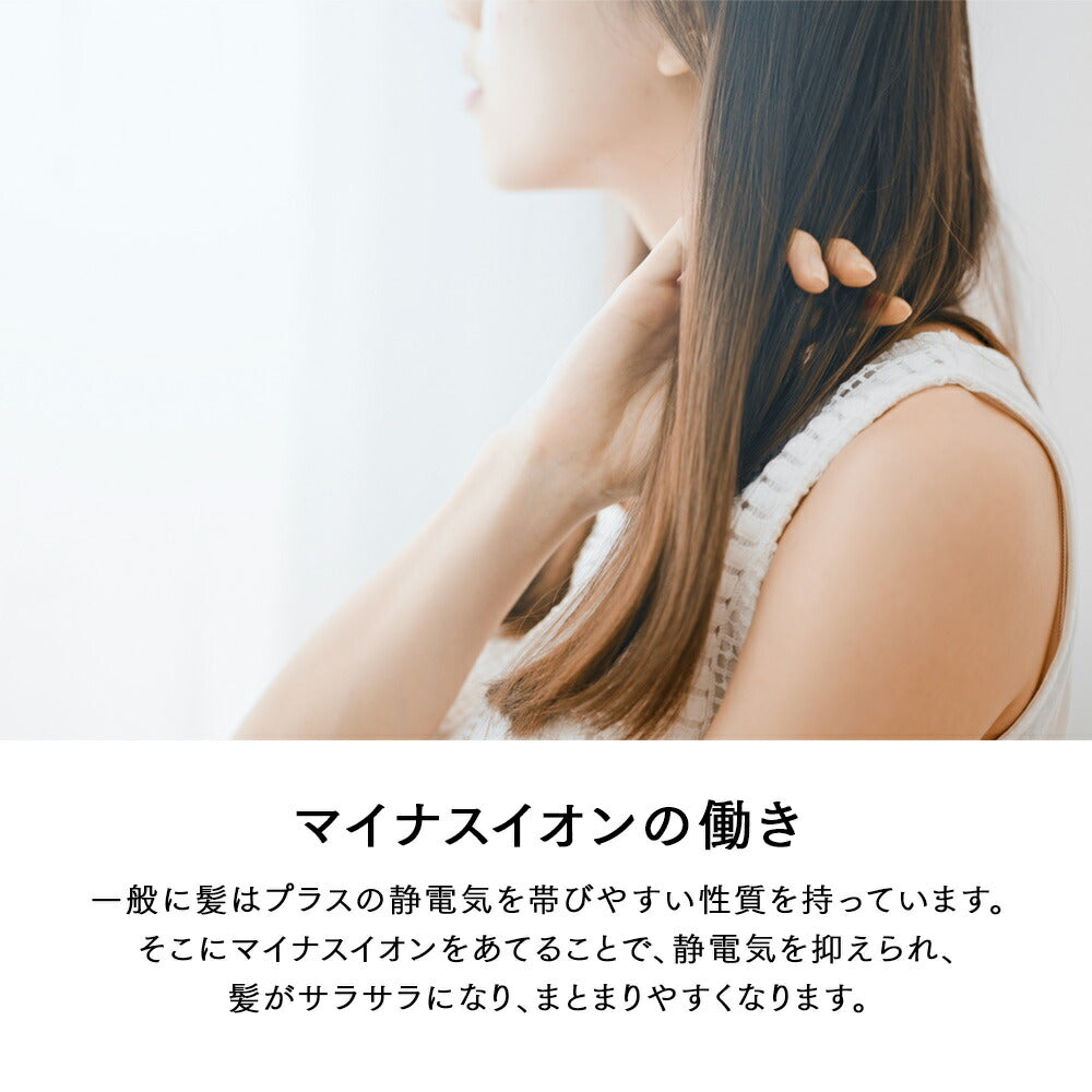 Panasonic ヘアードライヤー イオニティ EH-NE2A-PP【RSL】