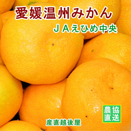 【みかん 温州みかん 愛媛県 送料無料】愛媛県の農協 JAえひめ中央 愛媛の温州みかん 10kg農協産地直送便でお届け【ギフト 贈り物 プレゼント】