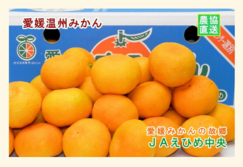 【みかん 温州みかん 愛媛県 送料無料】愛媛県の農協 JAえひめ中央 愛媛の温州みかん 10kg農協産地直送便でお届け【ギフト 贈り物 プレゼント】