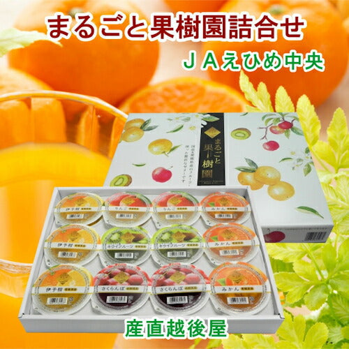 【ゼリー 柑橘類 みかん 詰合せ 送料無料】愛媛県の農協 JAえひめ中央 まるごと果実園詰合せフルーツゼリー 120ｇ12個 化粧箱【お中元 お歳暮 ギフト 贈り物】