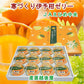 【ゼリー 柑橘類 みかん 詰合せ 送料無料】愛媛県の農協 JAえひめ中央 寒づくり伊予柑ゼリー詰合せ伊予柑ゼリー 155ｇ12個 化粧箱【お中元 お歳暮 ギフト 贈り物】