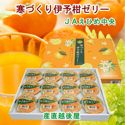 【ゼリー 柑橘類 みかん 詰合せ 送料無料】愛媛県の農協 JAえひめ中央 寒づくり伊予柑ゼリー詰合せ伊予柑ゼリー 155ｇ12個 化粧箱【お中元 お歳暮 ギフト 贈り物】