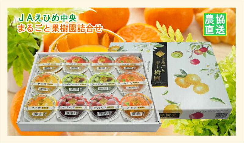 【ゼリー 柑橘類 みかん 詰合せ 送料無料】愛媛県の農協 JAえひめ中央 まるごと果実園詰合せフルーツゼリー 120ｇ12個 化粧箱【お中元 お歳暮 ギフト 贈り物】