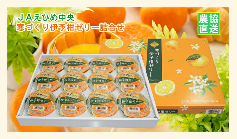 【ゼリー 柑橘類 みかん 詰合せ 送料無料】愛媛県の農協 JAえひめ中央 寒づくり伊予柑ゼリー詰合せ伊予柑ゼリー 155ｇ12個 化粧箱【お中元 お歳暮 ギフト 贈り物】