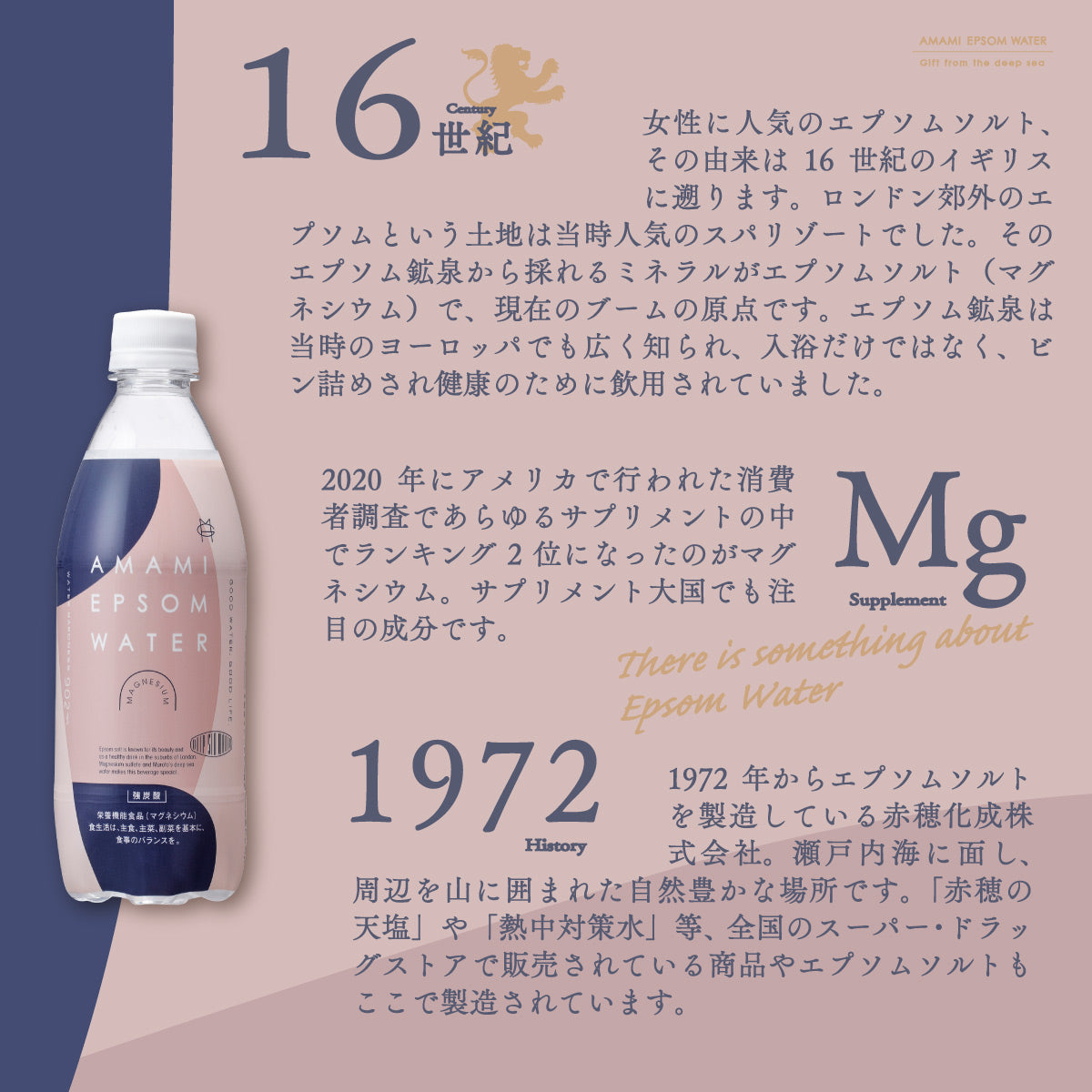 【10人シェア買いでお得】美と健康の炭酸水 エプソムウォーター 500ml 24本