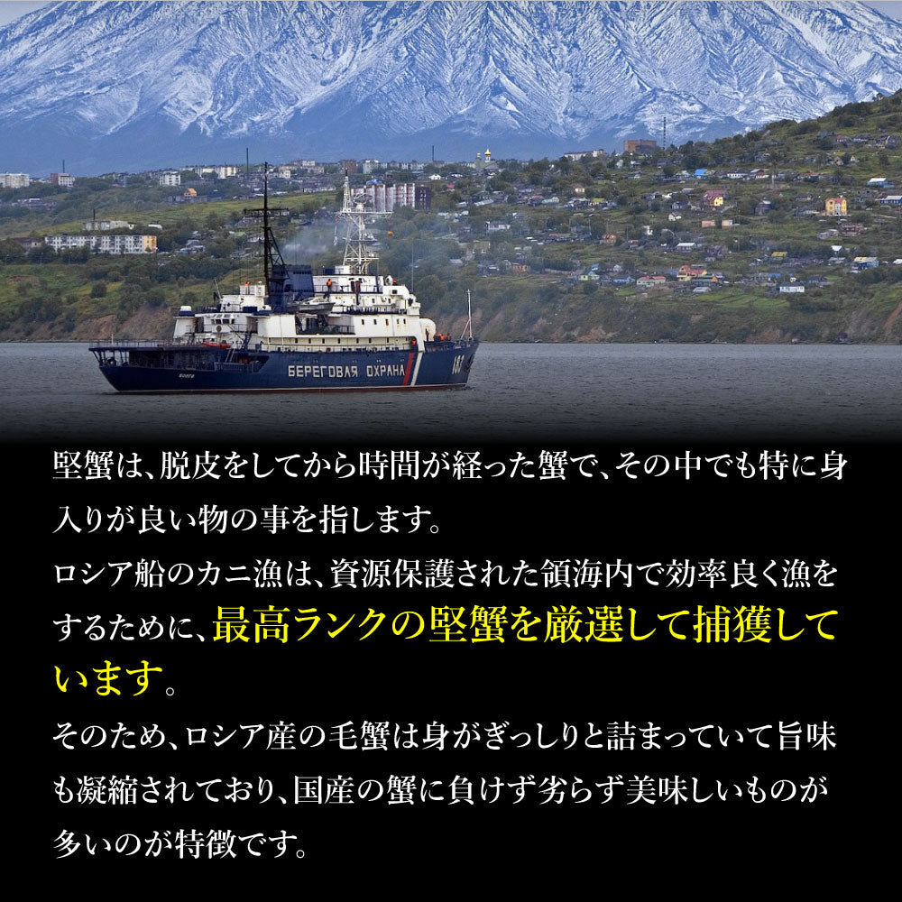 グルメ大賞受賞！特大横綱毛蟹1㎏！
