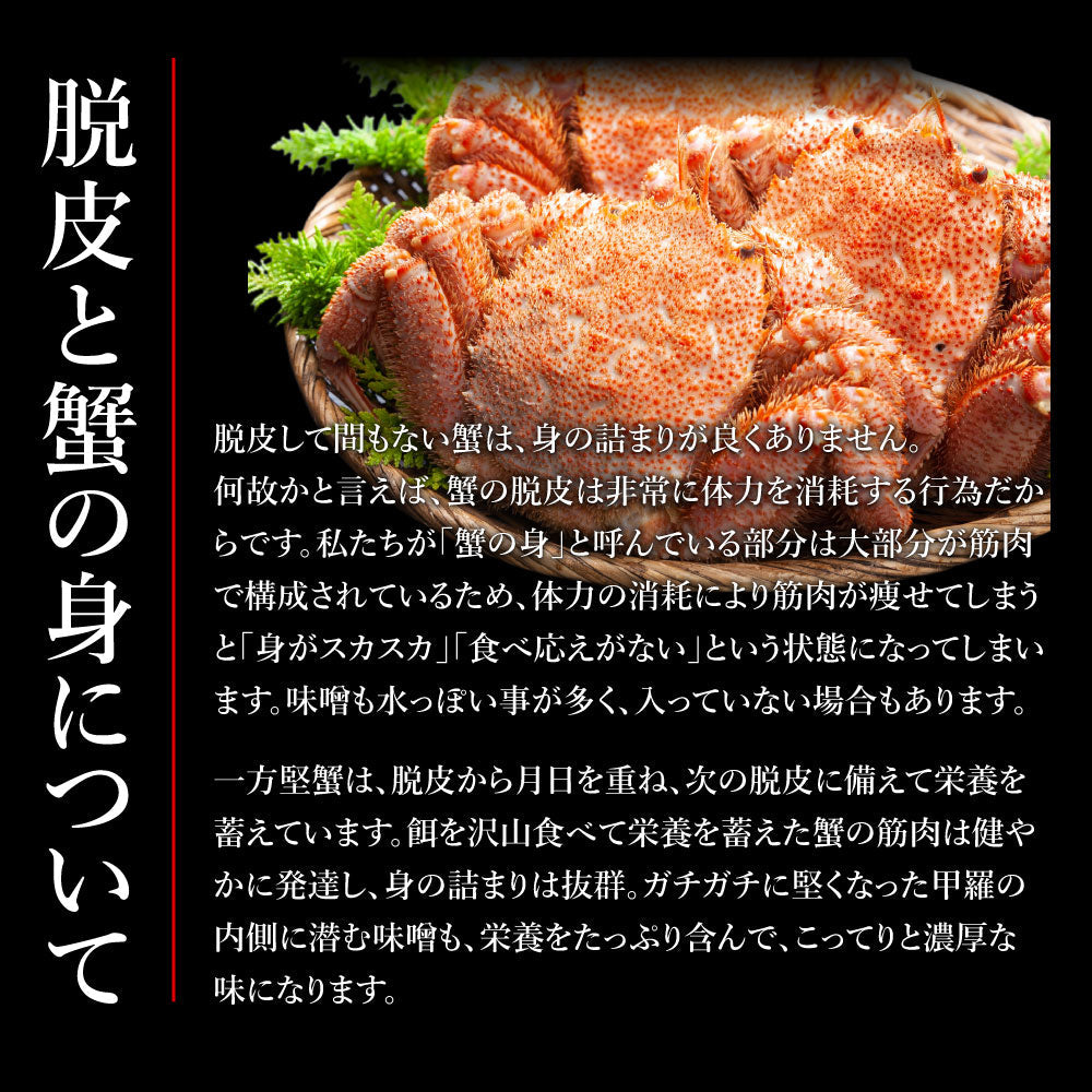 グルメ大賞受賞！特大横綱毛蟹1㎏！