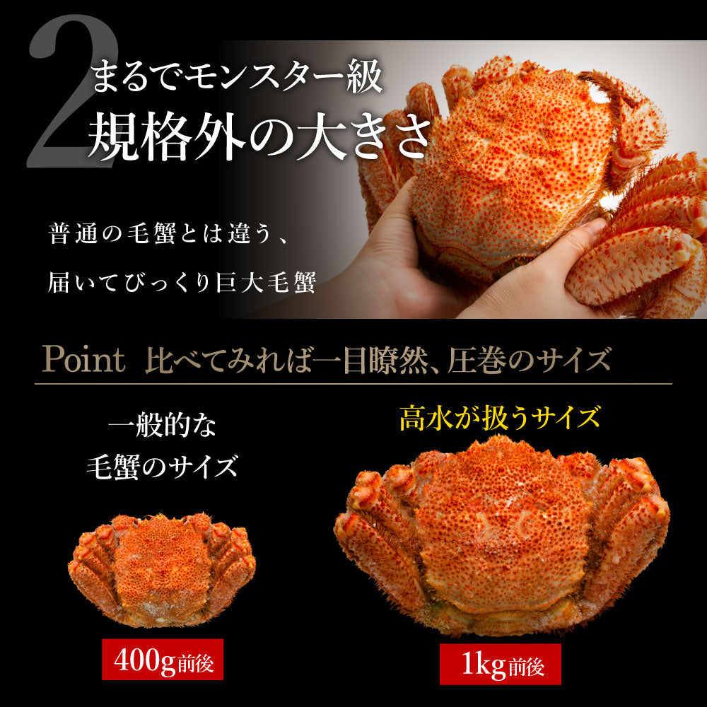 グルメ大賞受賞！特大横綱毛蟹1㎏！