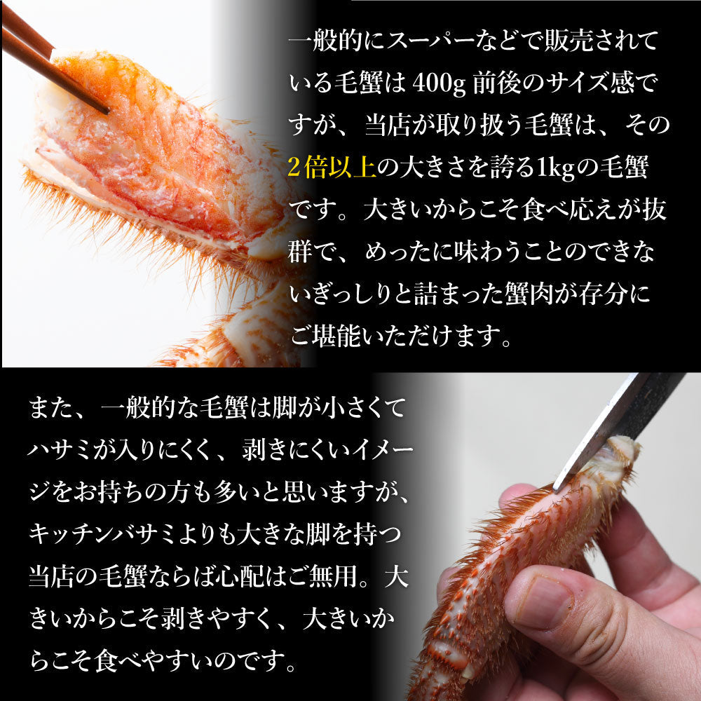 グルメ大賞受賞！特大横綱毛蟹1㎏！